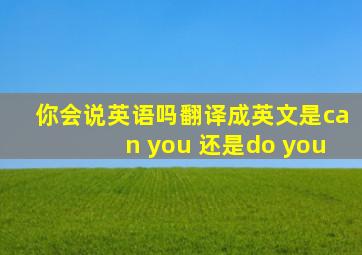 你会说英语吗翻译成英文是can you 还是do you